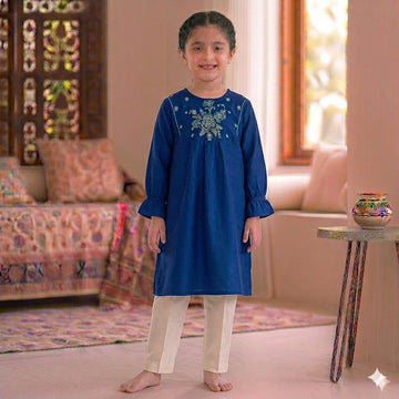 Blue Embroidered Top