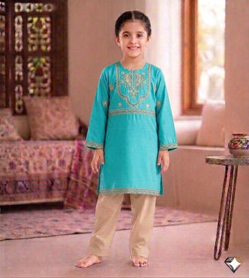 Aqua SK Embroidered-2pcs